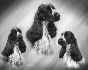 riley01